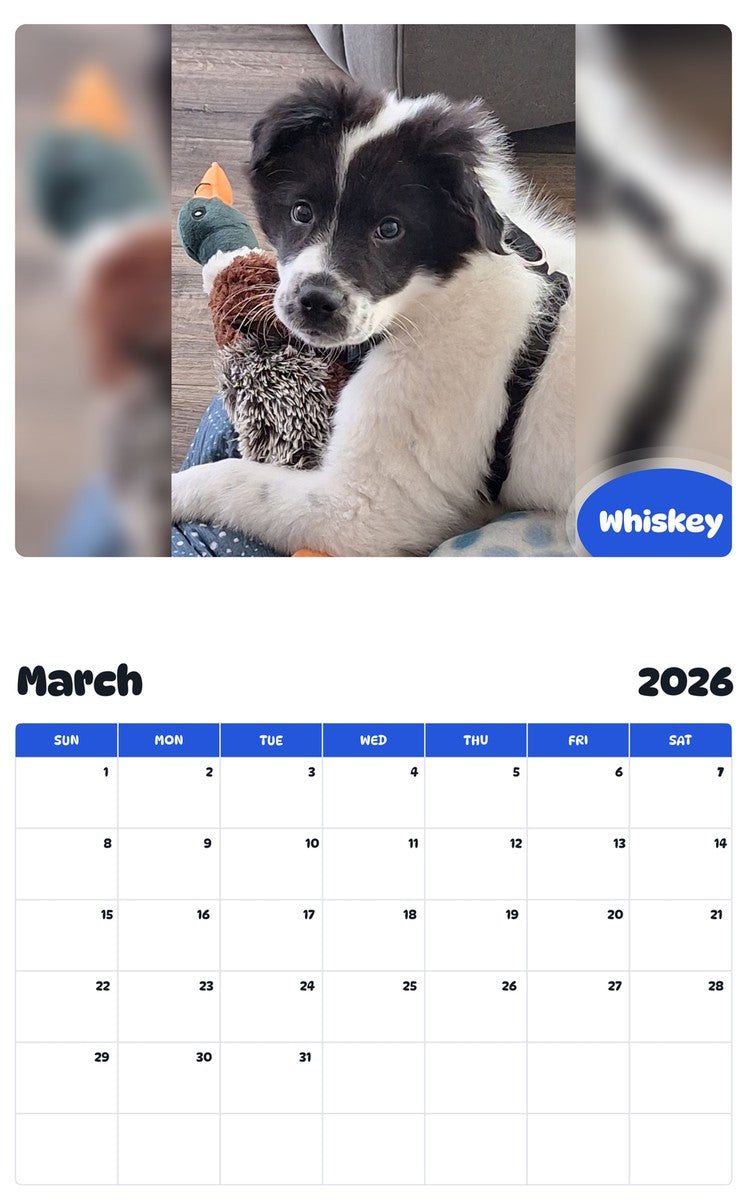 November 2025 - October 2026 Whiskey - Pawidols Pet Calendar