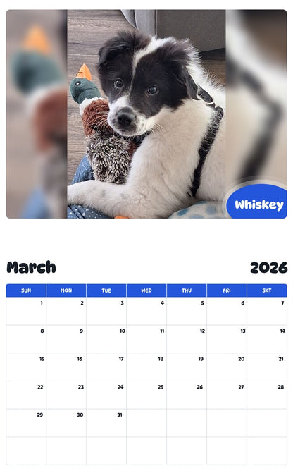 November 2025 - October 2026 Whiskey - Pawidols Pet Calendar