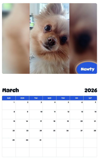 November 2025 - October 2026 Newty - Pawidols Pet Calendar