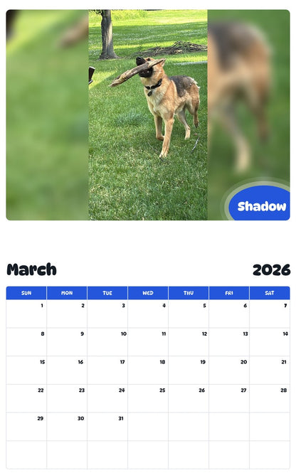 November 2025 - October 2026 Shadow - Pawidols Pet Calendar
