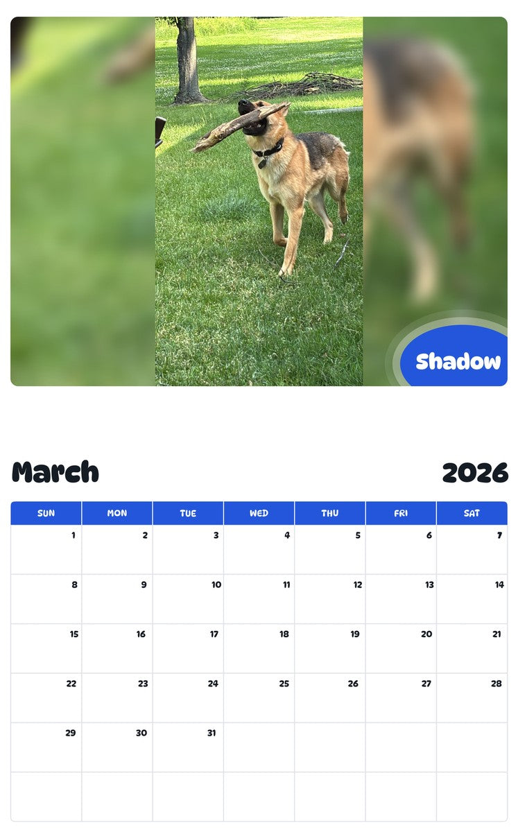 November 2025 - October 2026 Shadow - Pawidols Pet Calendar