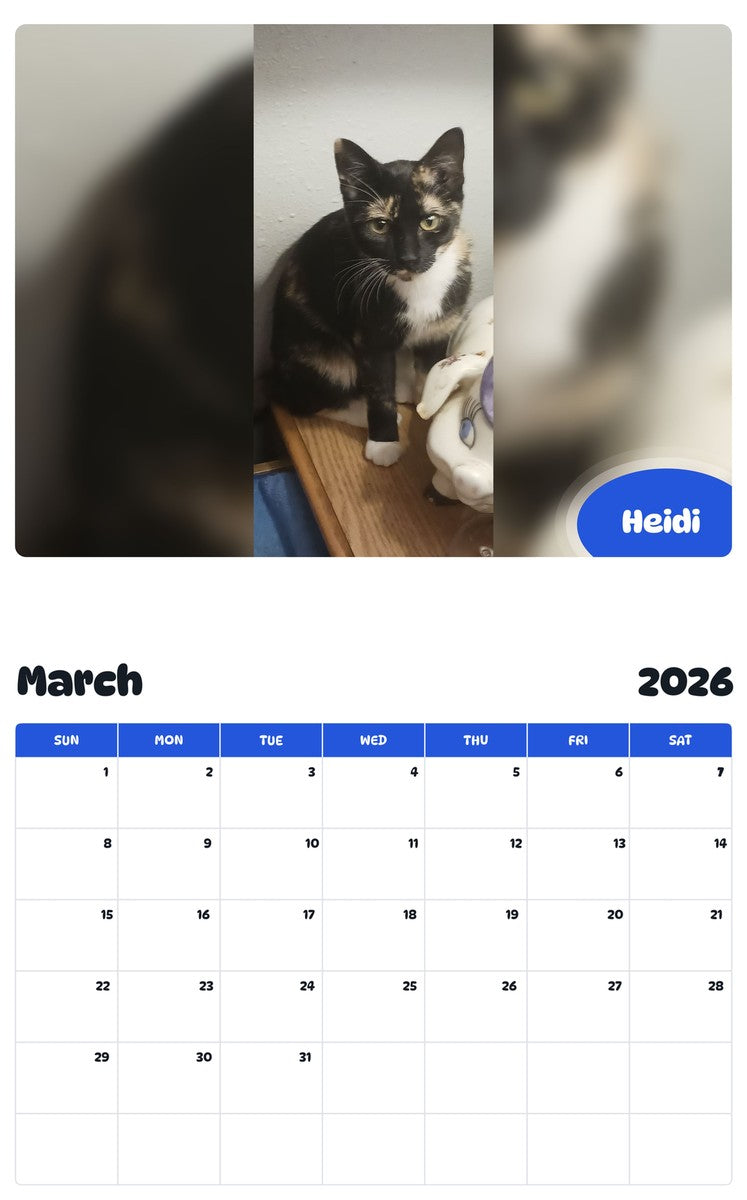 November 2025 - October 2026 Heidi - Pawidols Pet Calendar