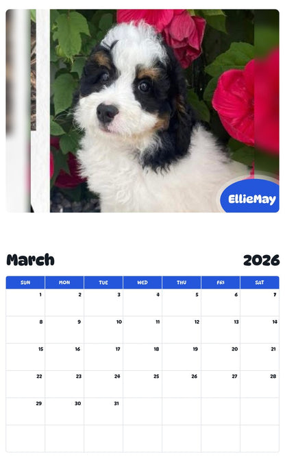 November 2025 - October 2026 EllieMay - Pawidols Pet Calendar