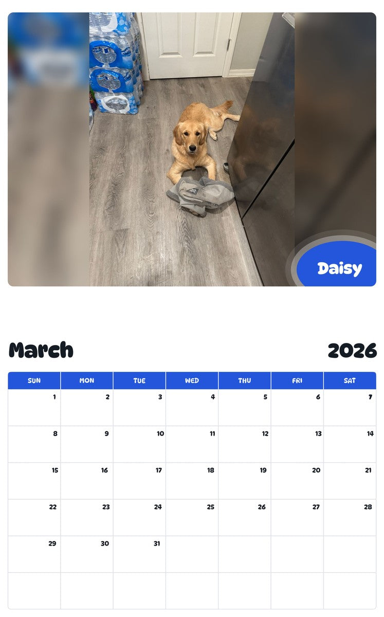 November 2025 - October 2026 Daisy - Pawidols Pet Calendar