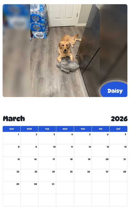 November 2025 - October 2026 Daisy - Pawidols Pet Calendar