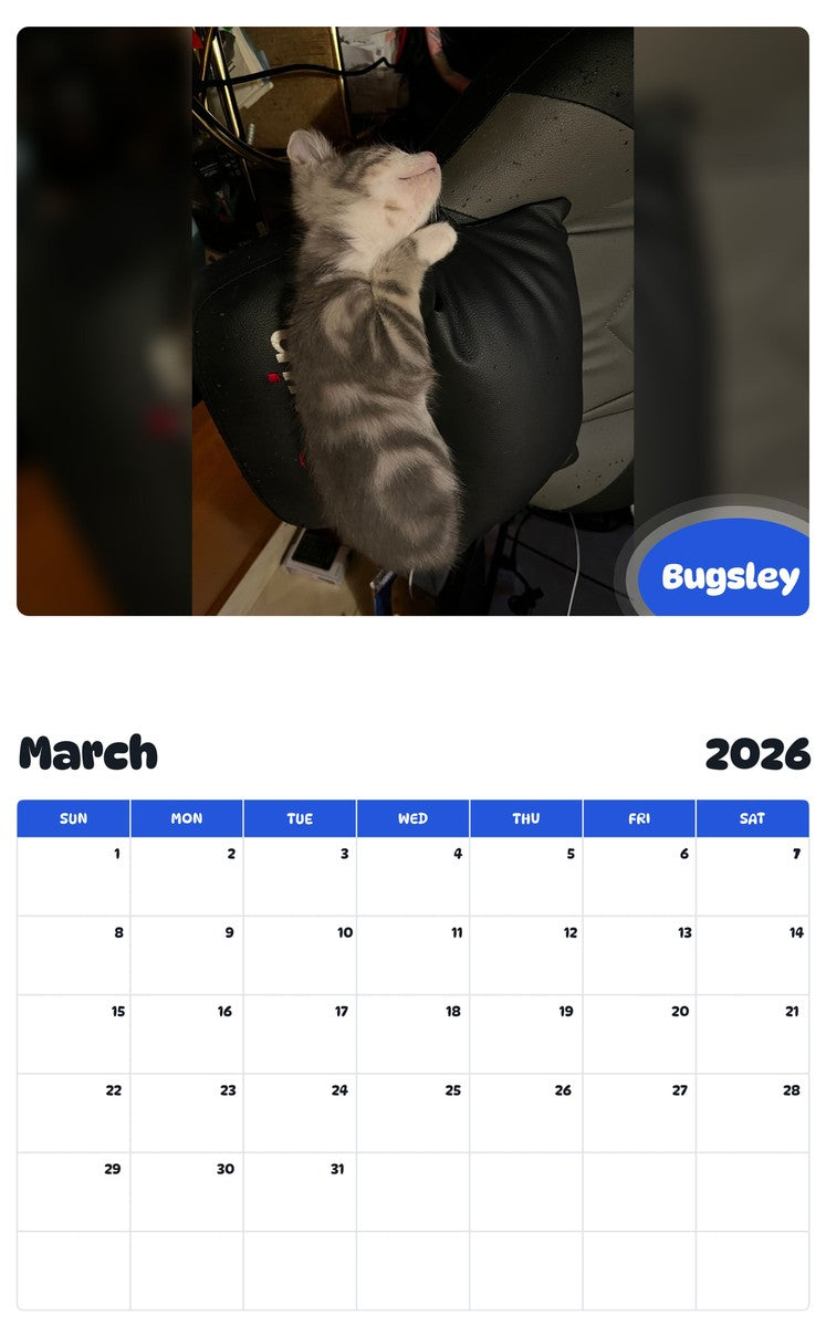 November 2025 - October 2026 Bugsley - Pawidols Pet Calendar