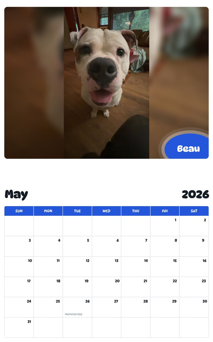 2026 - 2027 Beau - Pawidols Pet Calendar