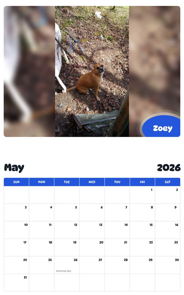 2026 - 2027 Zoey - Pawidols Pet Calendar