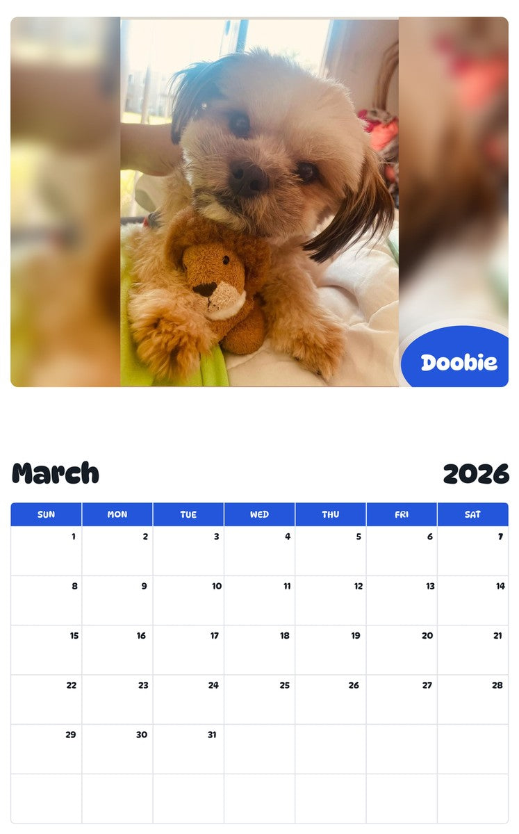 November 2025 - October 2026 Doobie - Pawidols Pet Calendar