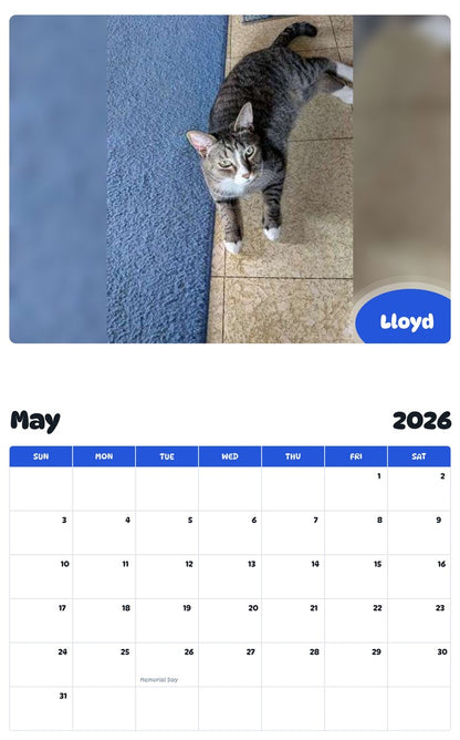 2026 - 2027 Lloyd - Pawidols Pet Calendar