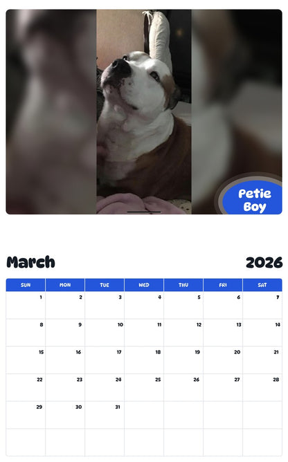November 2025 - October 2026 Petie Boy - Pawidols Pet Calendar
