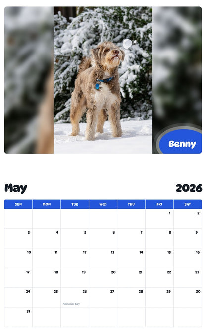 2026 - 2027 Benny - Pawidols Pet Calendar