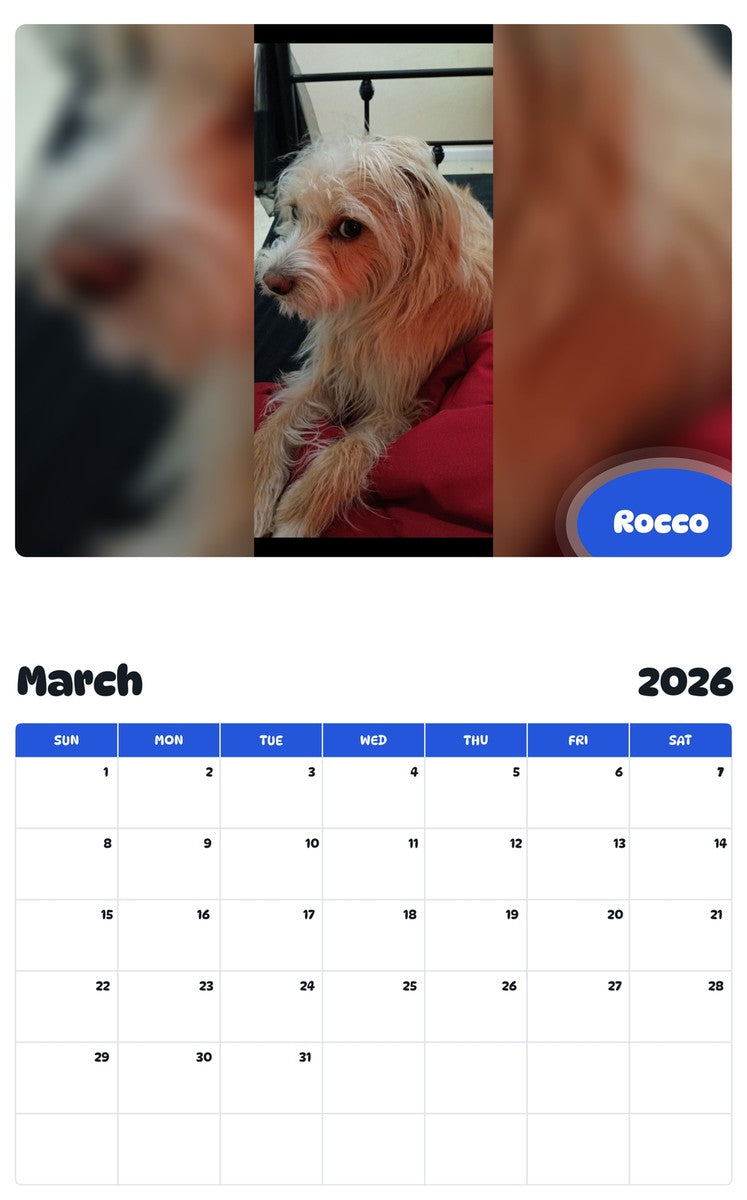 November 2025 - October 2026 Rocco - Pawidols Pet Calendar