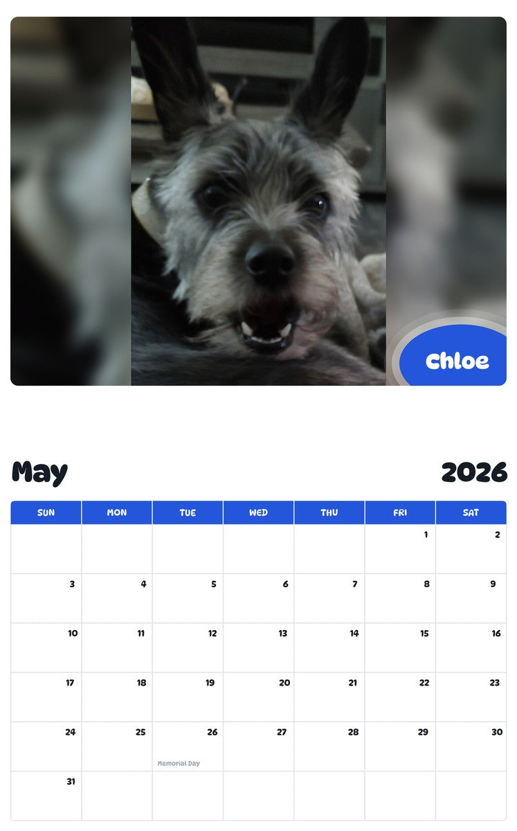 2026 - 2027 Chloe - Pawidols Pet Calendar