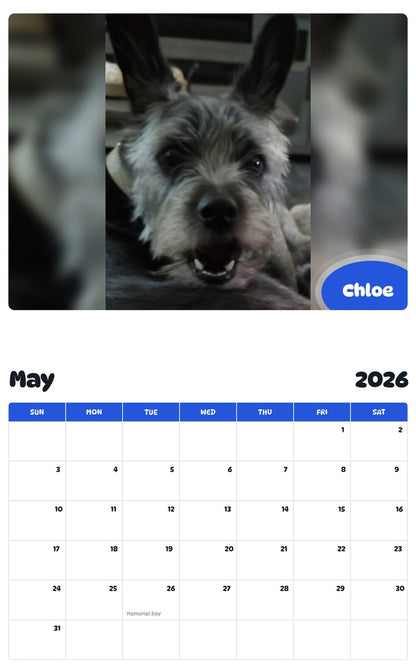 2026 - 2027 Chloe - Pawidols Pet Calendar