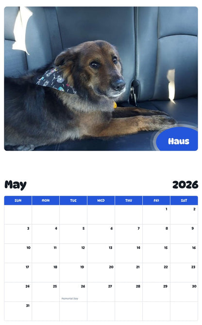 2026 - 2027 Haus - Pawidols Pet Calendar