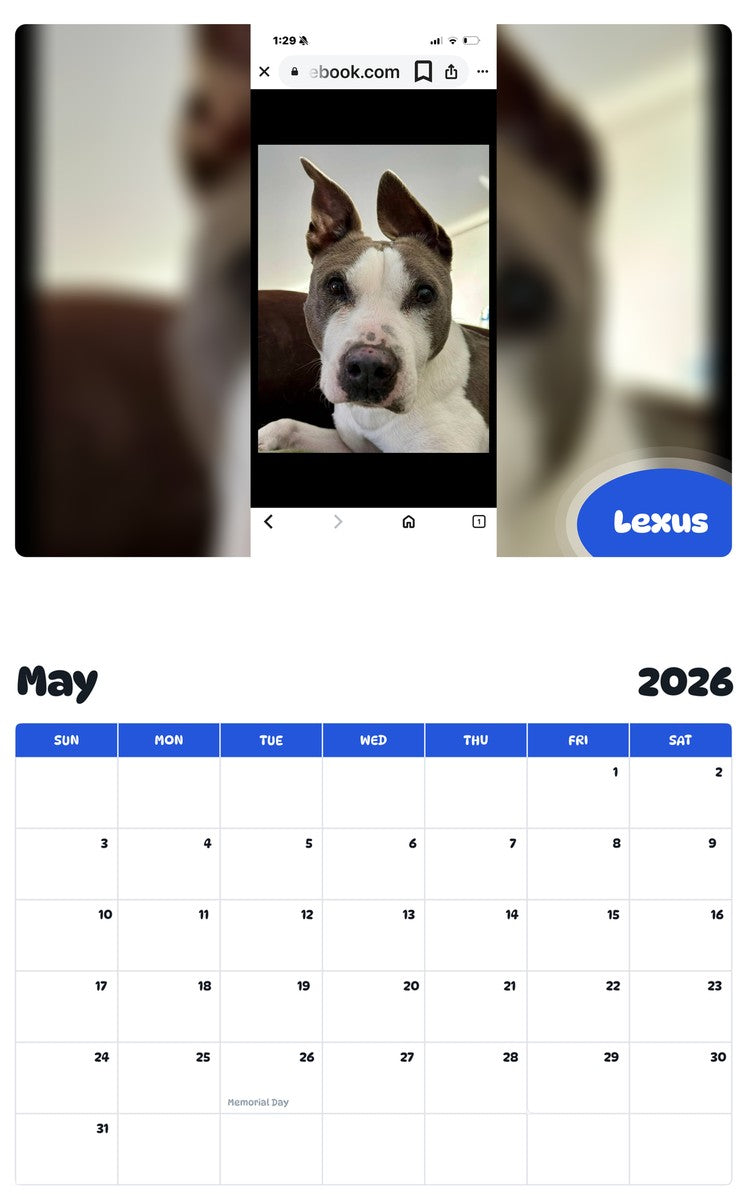 2026 - 2027 Lexus - Pawidols Pet Calendar