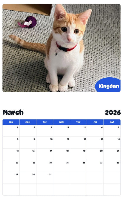 November 2025 - October 2026 Kingdan - Pawidols Pet Calendar