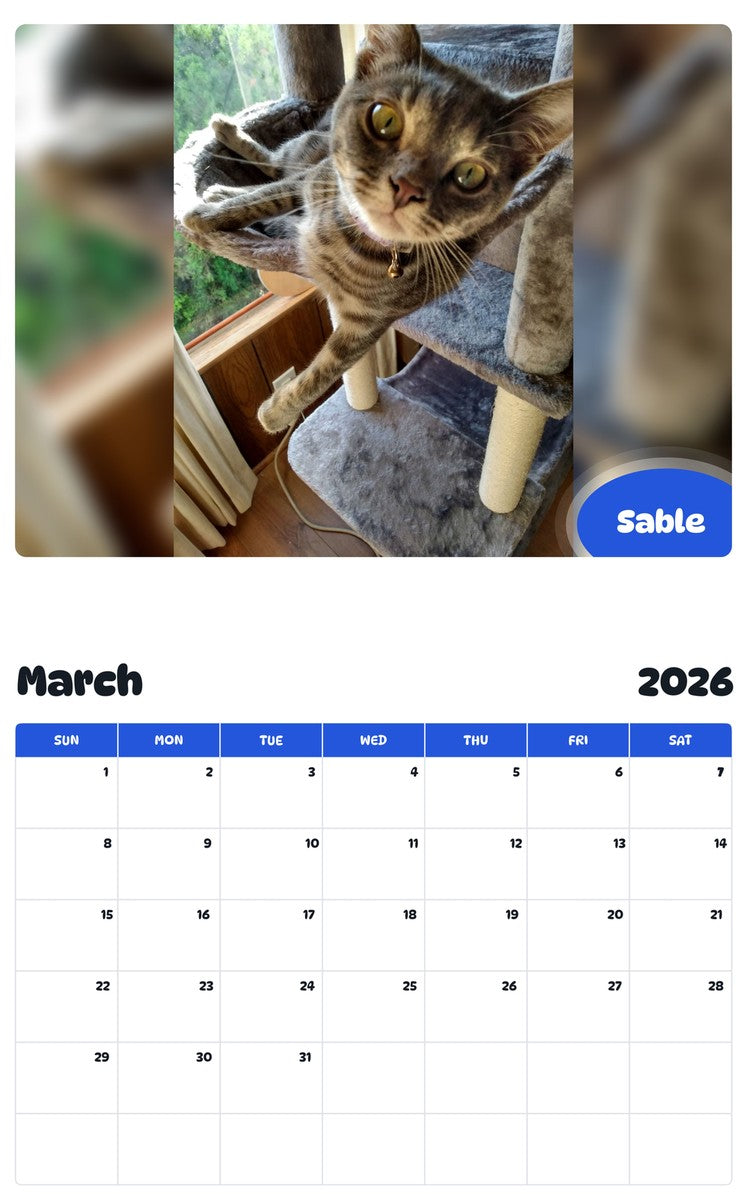 November 2025 - October 2026 Sable - Pawidols Pet Calendar