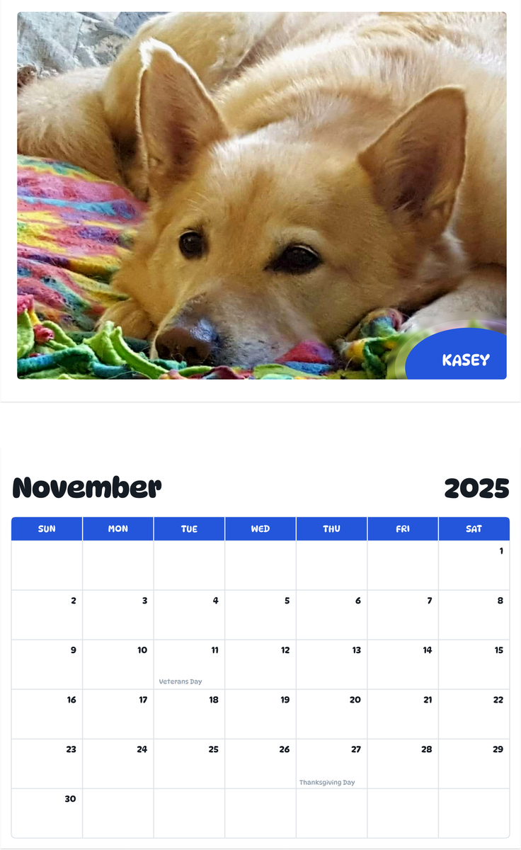 July 2025 - June 2026 Kasey - Pawidols Pet Calendar