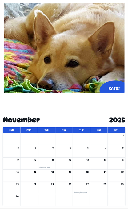 July 2025 - June 2026 Kasey - Pawidols Pet Calendar