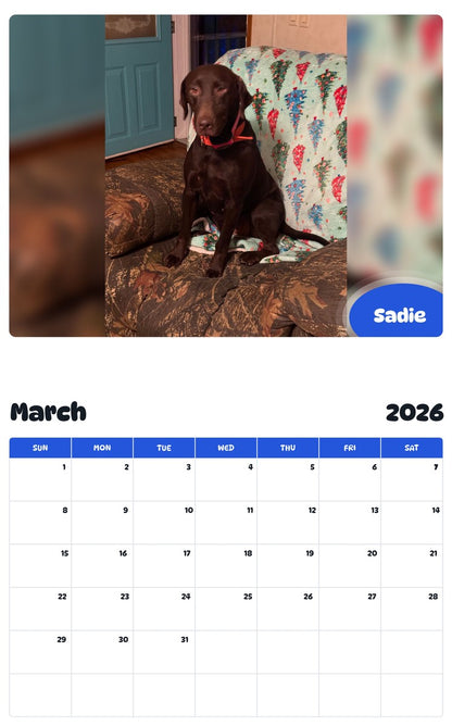 November 2025 - October 2026 Sadie - Pawidols Pet Calendar