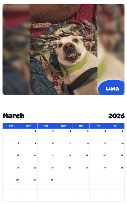 November 2025 - October 2026 Luna - Pawidols Pet Calendar