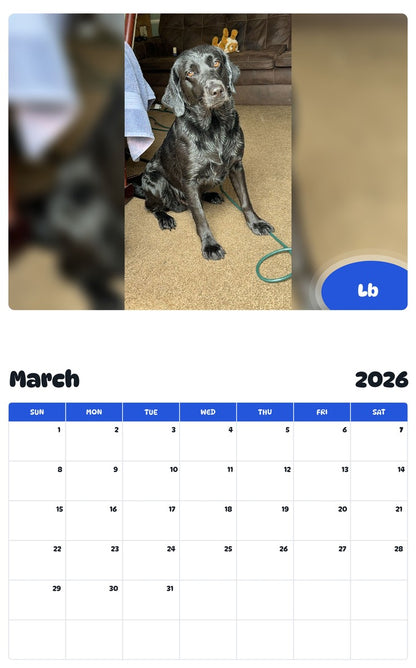 November 2025 - October 2026 Lb - Pawidols Pet Calendar