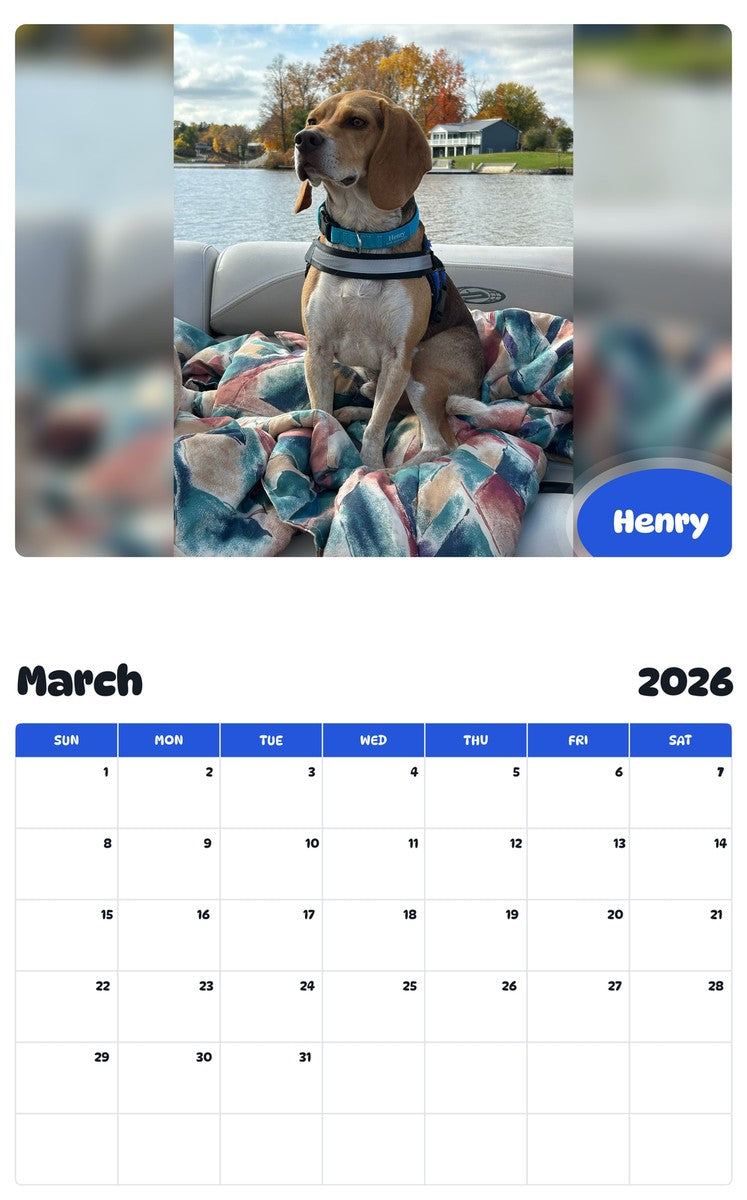 November 2025 - October 2026 Henry - Pawidols Pet Calendar