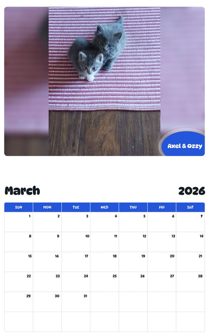 November 2025 - October 2026 Axel & Ozzy - Pawidols Pet Calendar