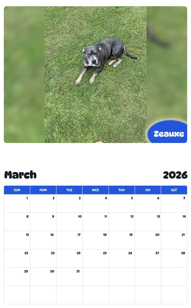 November 2025 - October 2026 Zeauxe - Pawidols Pet Calendar