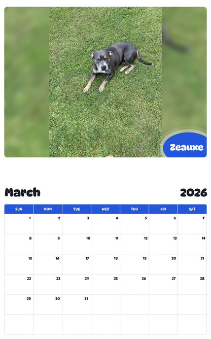 November 2025 - October 2026 Zeauxe - Pawidols Pet Calendar