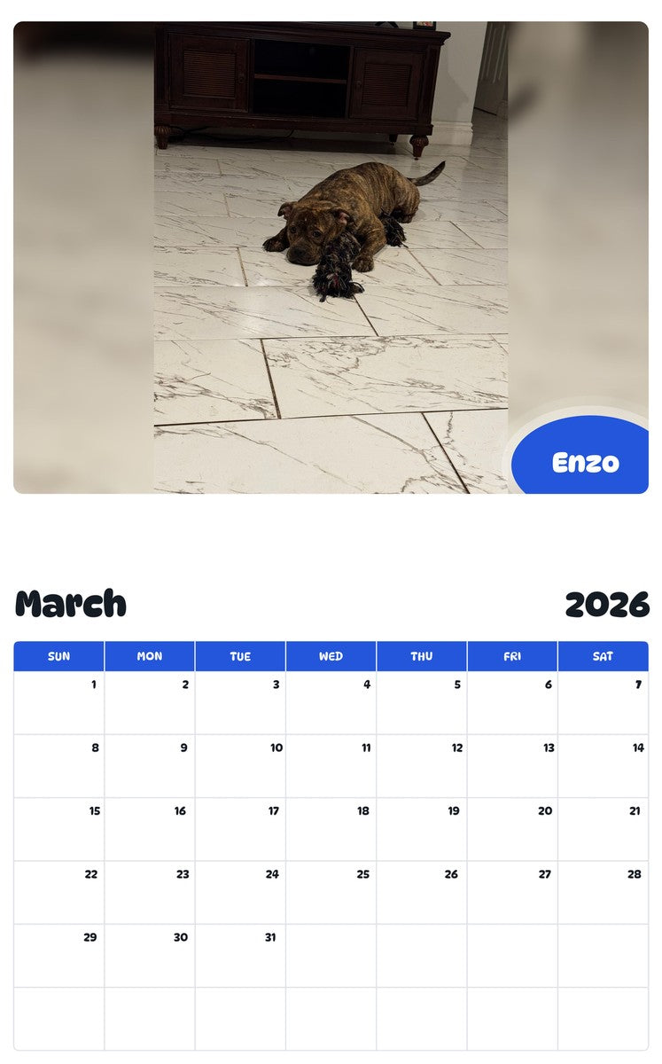 November 2025 - October 2026 Enzo - Pawidols Pet Calendar