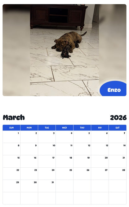 November 2025 - October 2026 Enzo - Pawidols Pet Calendar