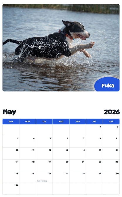 2026 - 2027 Puka - Pawidols Pet Calendar