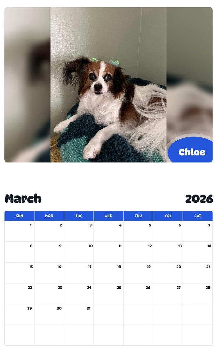 November 2025 - October 2026 Chloe - Pawidols Pet Calendar