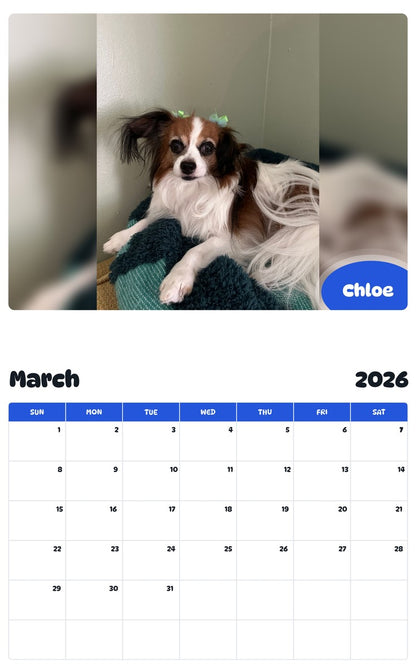 November 2025 - October 2026 Chloe - Pawidols Pet Calendar