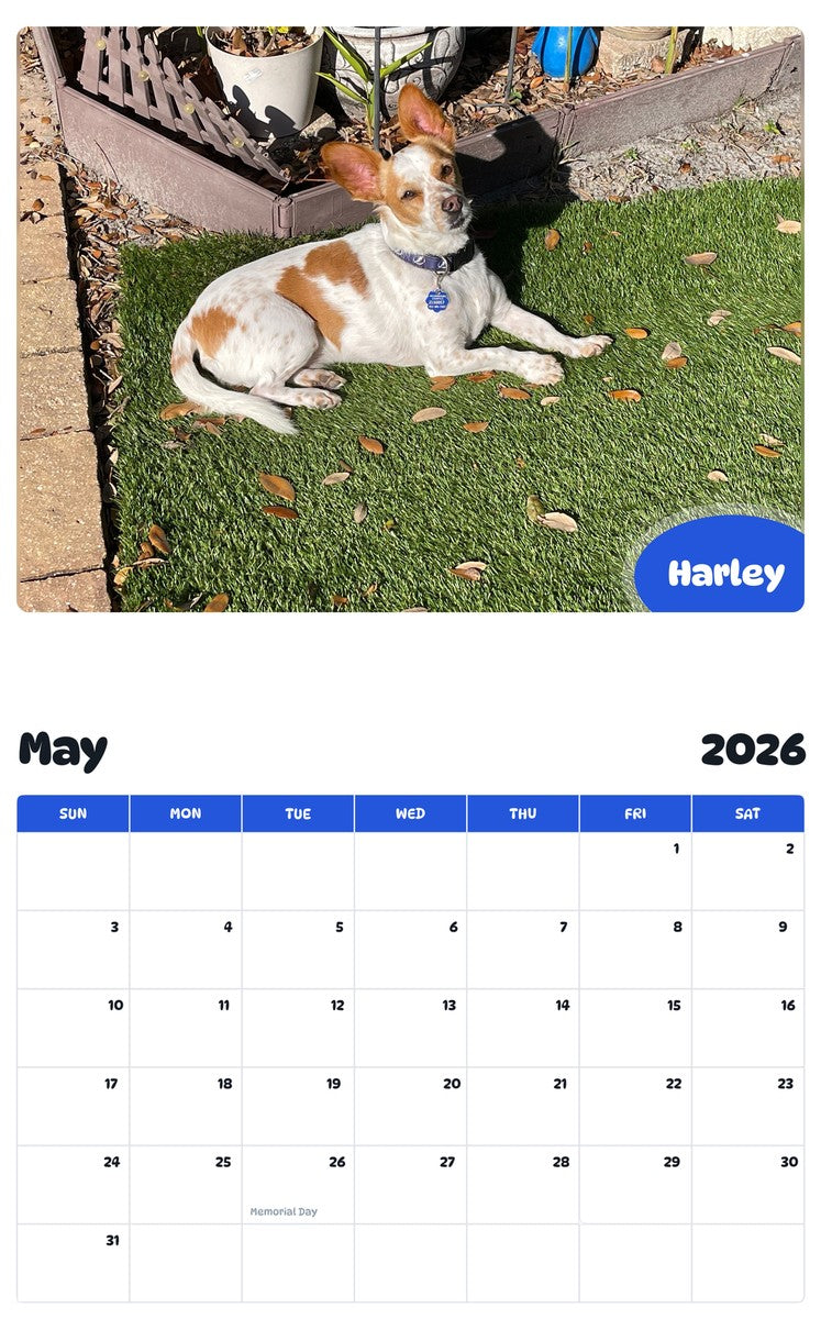 2026 - 2027 Harley - Pawidols Pet Calendar