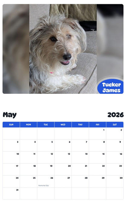2026 - 2027 Tucker James - Pawidols Pet Calendar