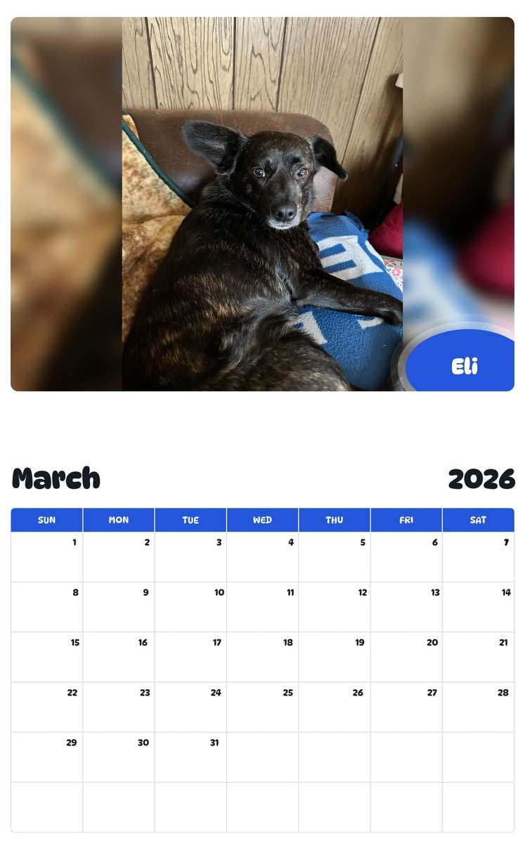 November 2025 - October 2026 Eli - Pawidols Pet Calendar