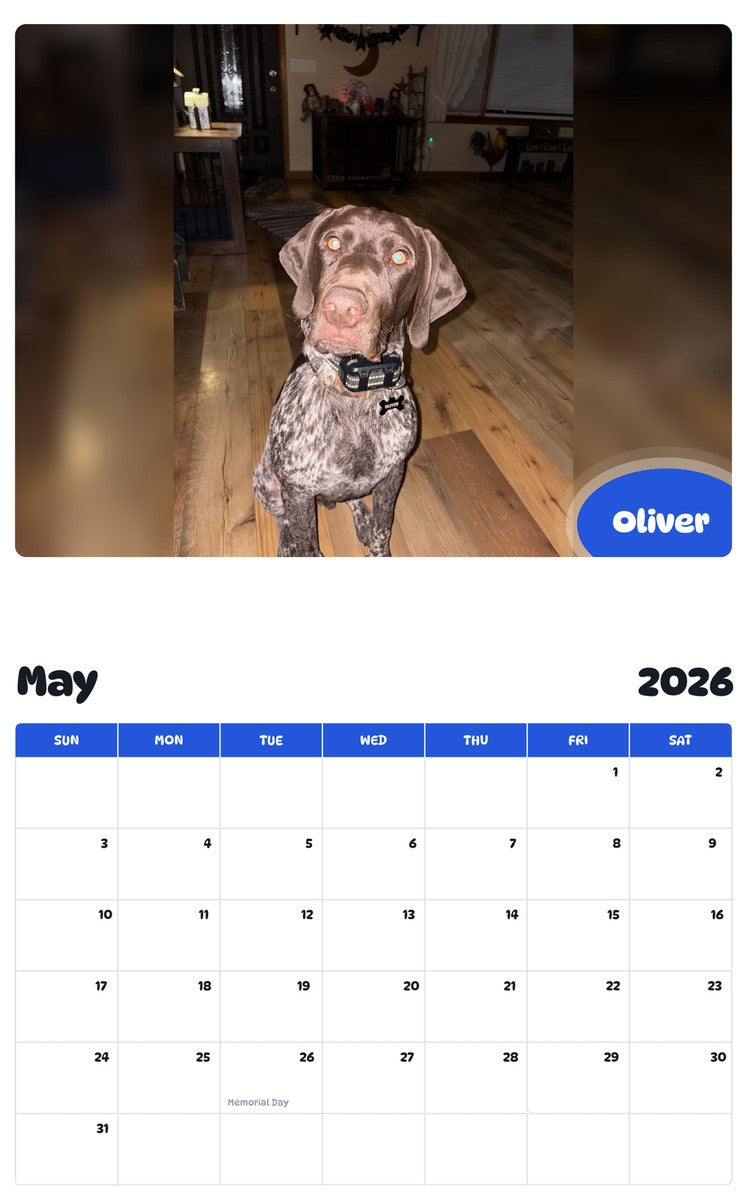 2026 - 2027 Oliver - Pawidols Pet Calendar