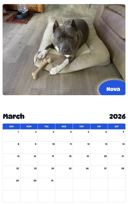 November 2025 - October 2026 Nova - Pawidols Pet Calendar