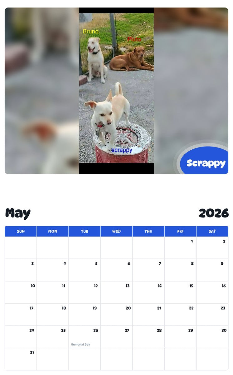 2026 - 2027 Scrappy - Pawidols Pet Calendar