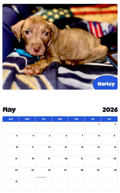 2026 - 2027 Harley - Pawidols Pet Calendar