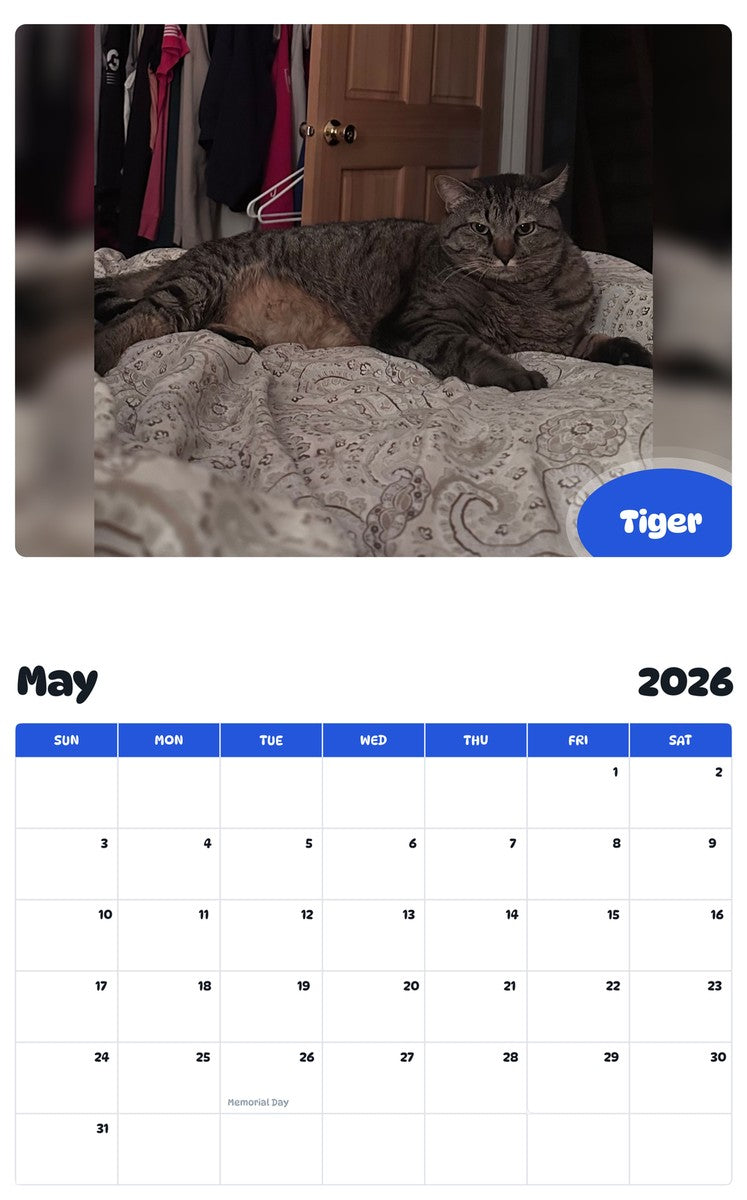 2026 - 2027 Tiger - Pawidols Pet Calendar