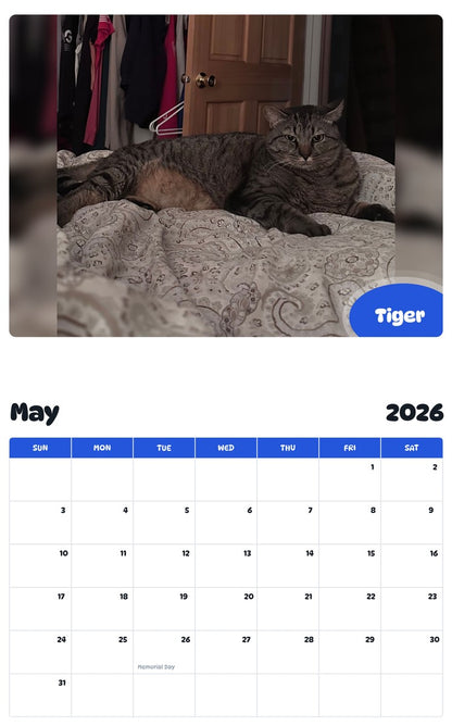 2026 - 2027 Tiger - Pawidols Pet Calendar