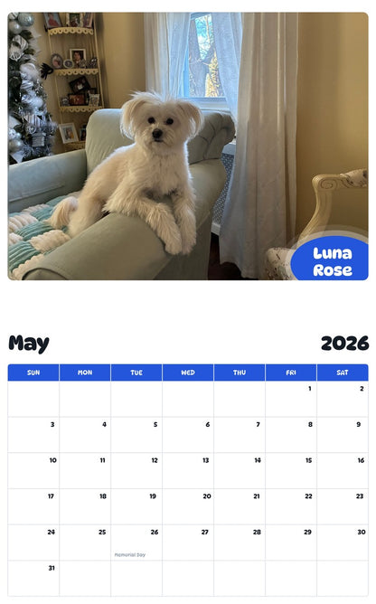 2026 - 2027 Luna Rose - Pawidols Pet Calendar