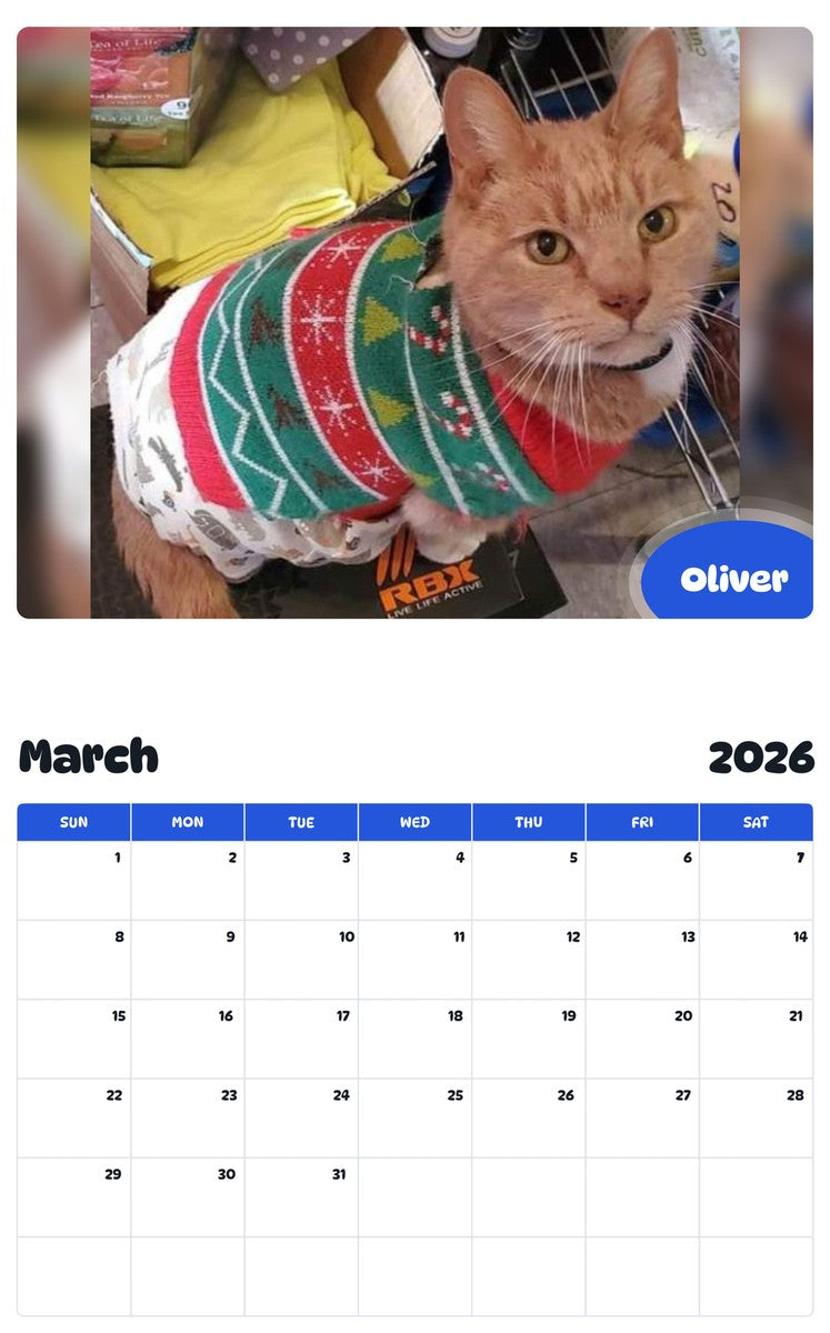 November 2025 - October 2026 Oliver - Pawidols Pet Calendar