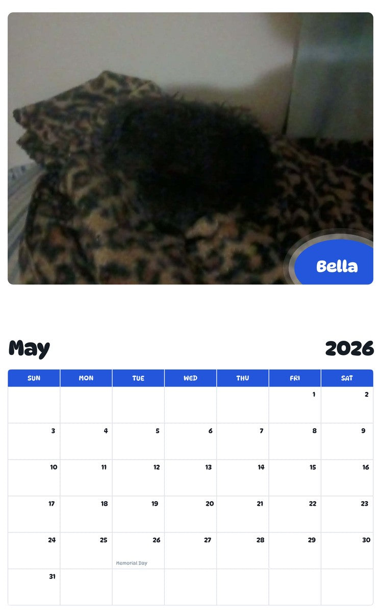 2026 - 2027 Bella - Pawidols Pet Calendar