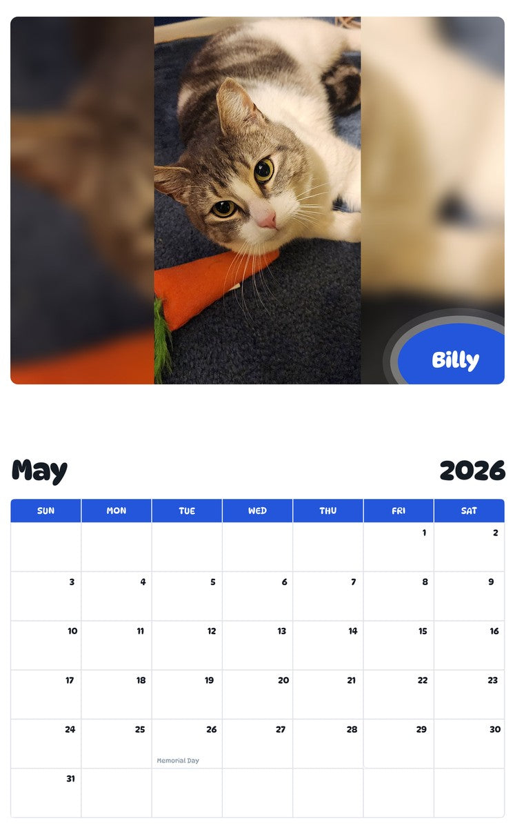 2026 - 2027 Billy - Pawidols Pet Calendar